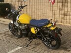 Thumbnail Photo 2 for New 2025 Royal Enfield Bear