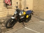 Thumbnail Photo 5 for New 2025 Royal Enfield Bear