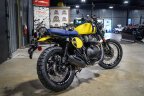 Thumbnail Photo 3 for New 2025 Royal Enfield Bear