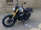 Thumbnail Photo 5 for New 2025 Royal Enfield Bear