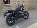 Thumbnail Photo 2 for New 2025 Royal Enfield Bear