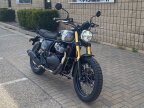 Thumbnail Photo 3 for New 2025 Royal Enfield Bear