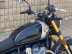 Thumbnail Photo 6 for New 2025 Royal Enfield Bear