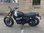 Thumbnail Photo 1 for New 2025 Royal Enfield Bear