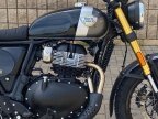 Thumbnail Photo 6 for New 2025 Royal Enfield Bear