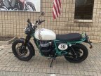 Thumbnail Photo 1 for New 2025 Royal Enfield Bear