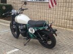 Thumbnail Photo 2 for New 2025 Royal Enfield Bear