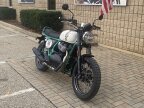 Thumbnail Photo 3 for New 2025 Royal Enfield Bear