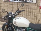 Thumbnail Photo 6 for New 2025 Royal Enfield Bear