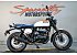 2025 Royal Enfield Bear