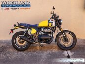 New 2025 Royal Enfield Bear