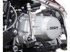 Thumbnail Photo 5 for New 2025 SSR SR125