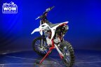 Thumbnail Photo 4 for New 2025 SSR SR125R