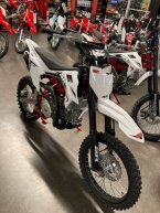 Thumbnail Photo 4 for New 2025 SSR SR140R