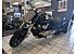 New 2025 Suzuki Boulevard 1800 M109R