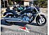 New 2025 Suzuki Boulevard 1800 M109R