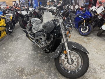 New 2025 Suzuki Boulevard 800