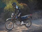 Thumbnail Photo 5 for New 2025 Suzuki DR650S