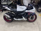 New 2025 Suzuki GSX-R600