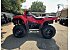 New 2025 Suzuki KingQuad 750
