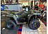New 2025 Suzuki KingQuad 750