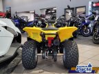 Thumbnail Photo 5 for New 2025 Suzuki QuadSport Z50