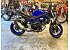 New 2025 Suzuki SV650