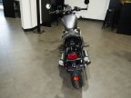 Thumbnail Photo 2 for New 2025 Triumph Bonneville 1200 Bobber