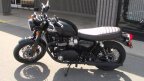 Thumbnail Photo 1 for New 2025 Triumph Bonneville 1200