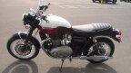 Thumbnail Photo 1 for New 2025 Triumph Bonneville 1200 T120 Elvis Presley Limited Edition
