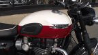 Thumbnail Photo 5 for New 2025 Triumph Bonneville 1200 T120 Elvis Presley Limited Edition
