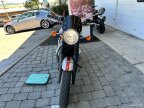 Thumbnail Photo 3 for 2025 Triumph Bonneville 1200