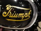 Thumbnail Photo 6 for New 2025 Triumph Bonneville 900 T100