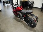 Thumbnail Photo 3 for New 2025 Triumph Daytona 660