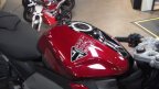 Thumbnail Photo 5 for New 2025 Triumph Daytona 660