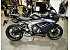 New 2025 Triumph Daytona 660
