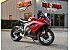 2025 Triumph Daytona 660
