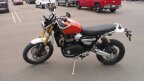 Thumbnail Photo 1 for New 2025 Triumph Scrambler XE