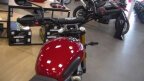 Thumbnail Photo 4 for New 2025 Triumph Scrambler