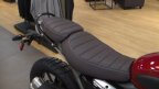 Thumbnail Photo 5 for New 2025 Triumph Scrambler