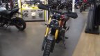 Thumbnail Photo 2 for New 2025 Triumph Scrambler