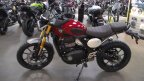 Thumbnail Photo 1 for New 2025 Triumph Scrambler
