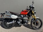 Thumbnail Photo 1 for 2025 Triumph Scrambler 1200 XE