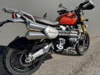 Thumbnail Photo 5 for 2025 Triumph Scrambler 1200 XE