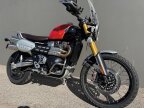 Thumbnail Photo 3 for 2025 Triumph Scrambler 1200 XE