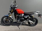 Thumbnail Photo 2 for 2025 Triumph Scrambler 1200 XE