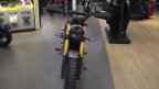 Thumbnail Photo 3 for New 2025 Triumph Scrambler