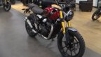 Thumbnail Photo 4 for New 2025 Triumph Scrambler