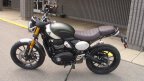 Thumbnail Photo 1 for New 2025 Triumph Scrambler