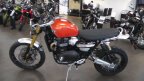 Thumbnail Photo 1 for New 2025 Triumph Scrambler XE